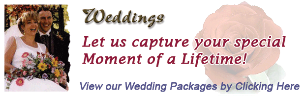 Sarasota Wedding Video Services by Cornerstone Pro Video